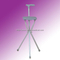 walking stick