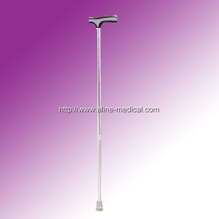 Walking Stick