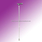 Walking Stick