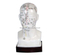 Head Acupuncture Model