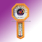 Indoor Thermometer